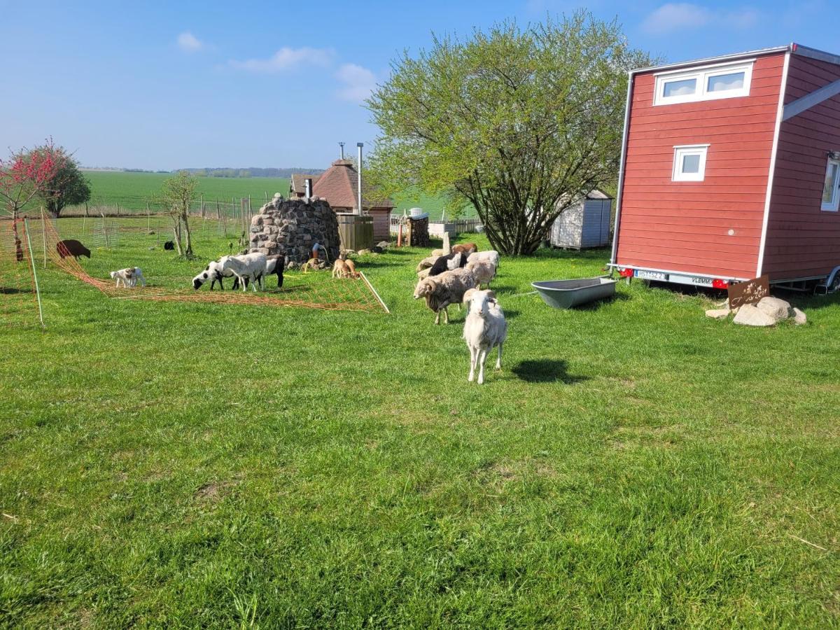 Tiny House Villa Schonbeck  Exteriör bild